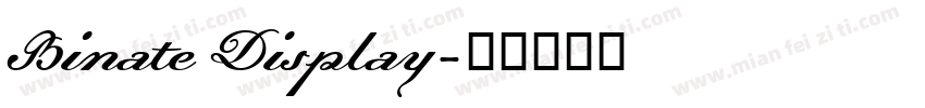 Binate Display字体转换